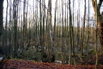 Bild 05