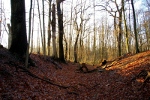 Bild 16