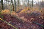 Bild 33