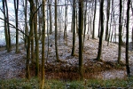 Bild 09