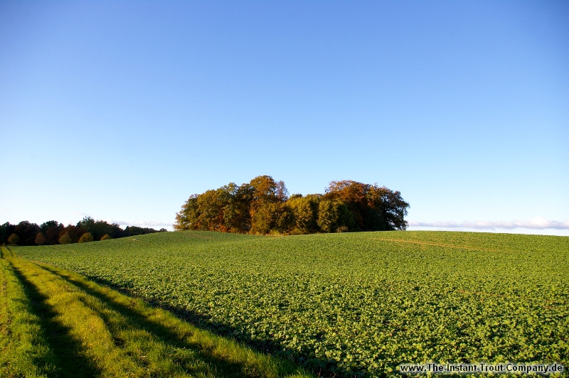 Weiter zum nchsten Bild