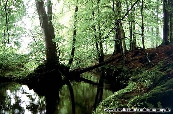 Weiter zum nchsten Bild