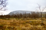 Bild 024