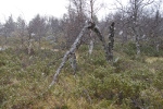 Bild 091