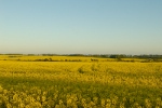 Bild 085